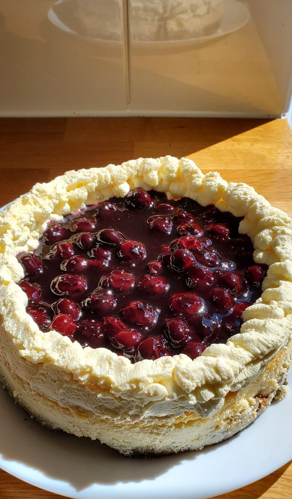 Blueberry Cheesecake (Baked)